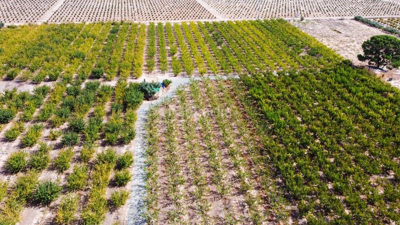 Foto ca0ec7d2-f2d5-4987-b07c-fecdb37b5477. Propriété dans Cieza