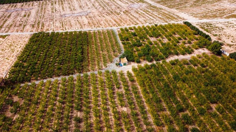 Foto cf3f1a80-b2ea-4b82-8a10-c30dcdcaf90a. Propriété dans Cieza