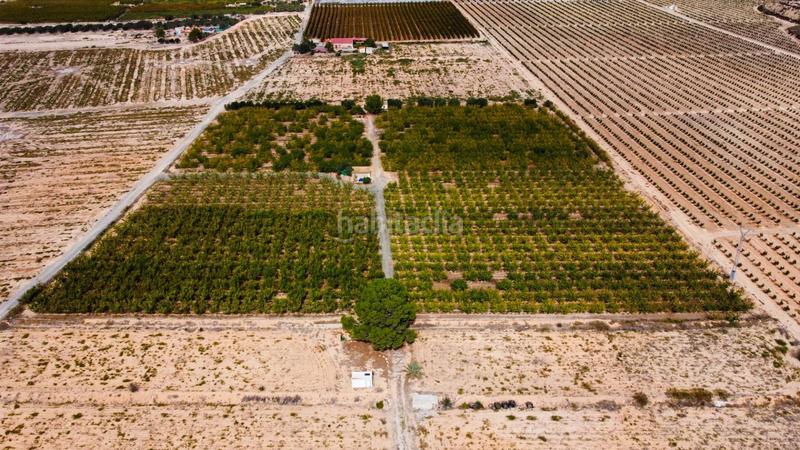 Foto e0ab2838-e473-46f1-9264-22423c445182. Propriété dans Cieza