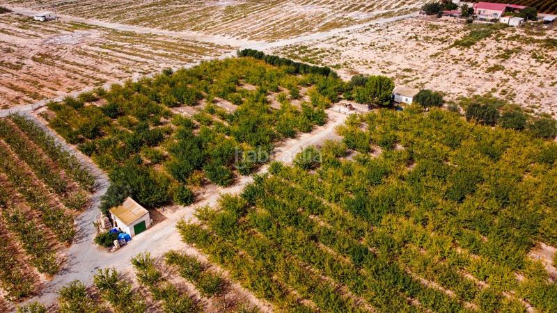 Foto e620f0d8-f729-42d2-89b0-cd4bab0bb997. Propriété dans Cieza