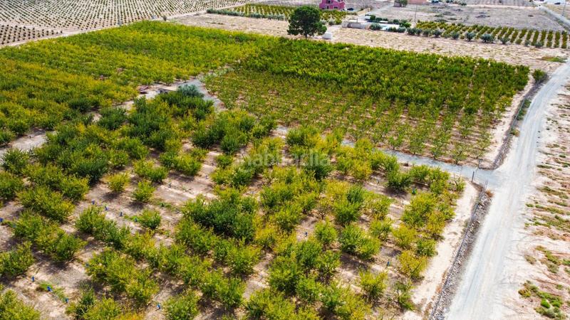 Foto f39e0b8d-965e-4e64-a1ac-9a8a1267005a. Propriété dans Cieza