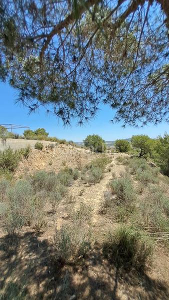 Foto 16c8f099-c377-46b9-80a2-714138f46a39. Terreno residencial magnífica parcela en la pinada . en Murcia