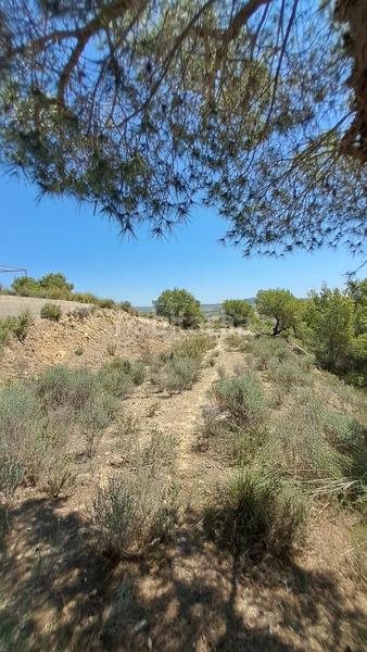 Foto a887e794-b624-4a55-b05f-2d699c9bf2f1. Terreno residencial magnífica parcela en la pinada . en Murcia