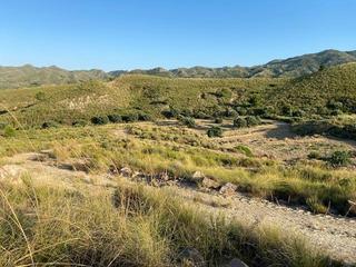 Mas  Avenida avenida del puntarrón. Finca rústica con dos viviendas independientes en la hoya  almen