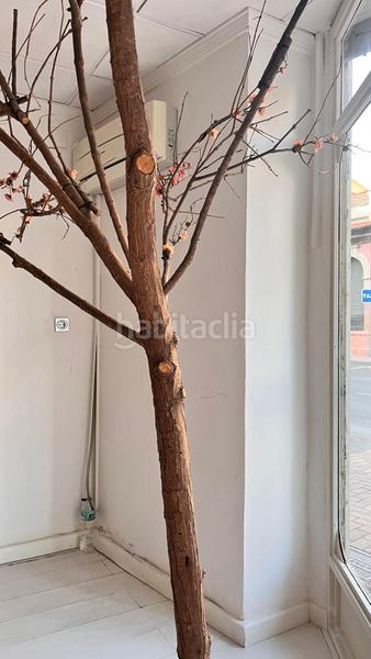 Foto 60893b10-21e8-4d0a-b2aa-a1a6df07a2fc. Location local commercial dans calle mayor 53 dans Espinardo Murcia