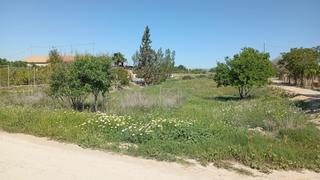 Terreno residenziale in Poligono 74, parcela 209. Parcela rústica en venta en sangonera la seca