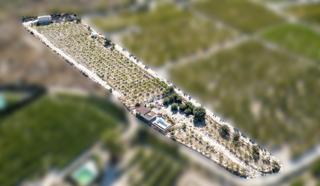Bauernhof in Cieza. Casa con terreno en la carrasquilla