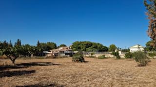Finca rústica  Torreguil. Parcela rústica paraje torreguil