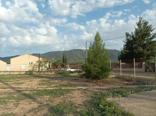 Finca rústica en Librilla. Oportunidad de inversión amplio terreno rural en librilla