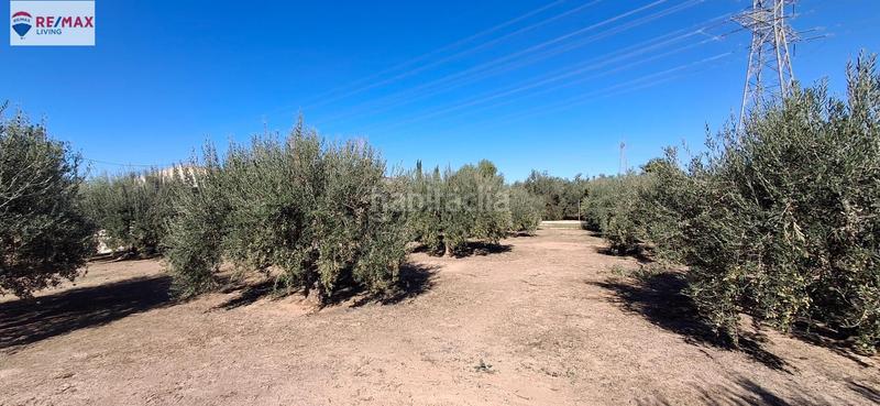 Foto 37b6926f-cb9f-4d38-9be1-675fdc329cb2. Masía casa de campo con parcela zona cuevas del norte en Murcia