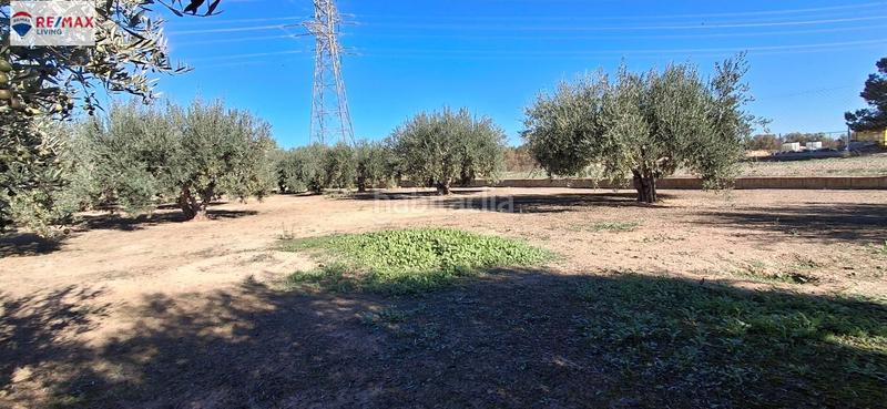 Foto 6610964c-0ee9-44a8-9441-6f7ed611a7ab. Masía casa de campo con parcela zona cuevas del norte en Murcia