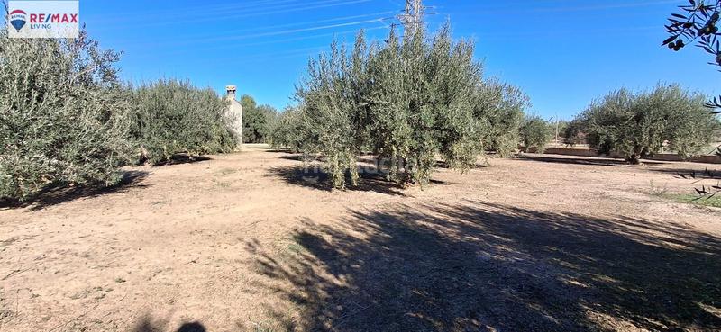 Foto a824f783-b2ef-47cd-bbd9-f3b1162943dd. Masía casa de campo con parcela zona cuevas del norte en Murcia