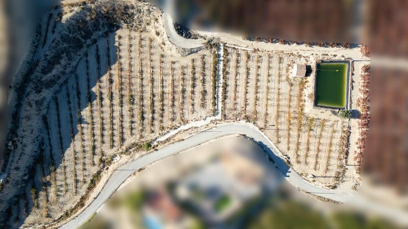 Foto dcff188d-5fd4-4033-a1c3-29cbe0ad6897. Propriété dans Abarán