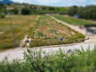 Finca rústica en Cieza. Parcela en la brujilla
