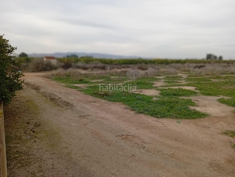 Foto 41211f03-1cd5-4790-a8a6-930edab10170. Finca rústica a Librilla