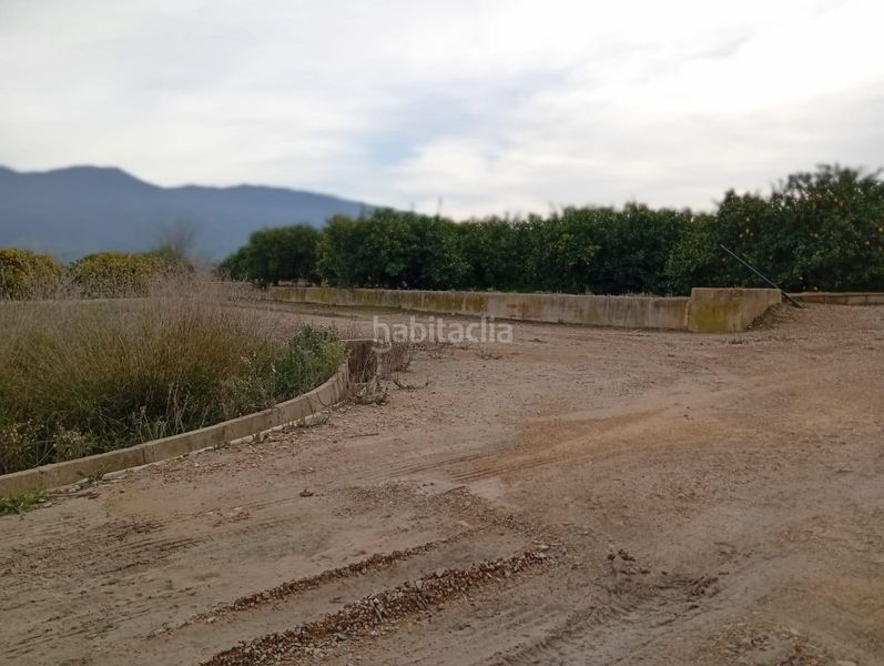 Foto 586b19b3-d1cc-4210-a16d-c8956ec1a575. Finca rústica a Librilla