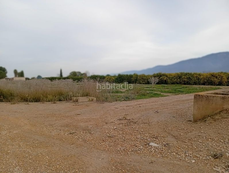 Foto ca195d30-af59-44b2-9049-971d93758b26. Finca rústica a Librilla