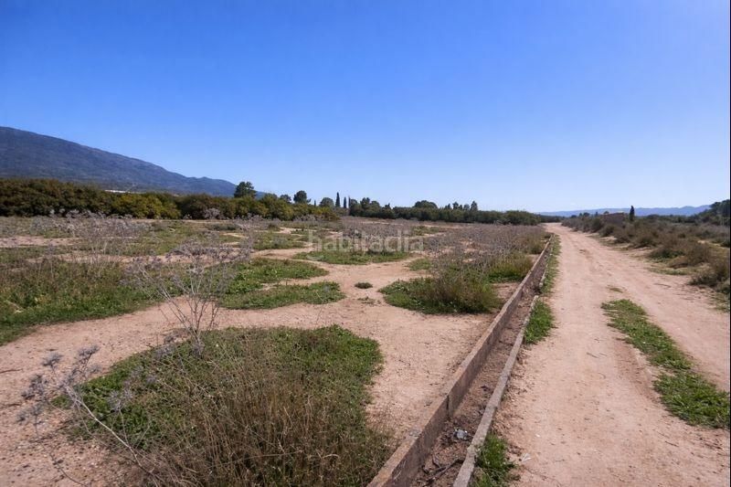 Foto f21d5f94-b30e-4f1d-b053-13c174a9b57e. Finca rústica a Librilla