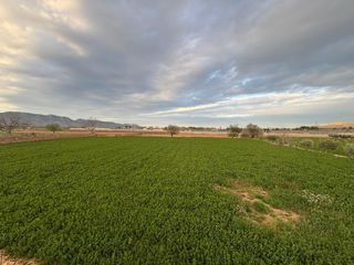 Fondo rustico  Camino (singla)fuente. Oportunidad en caravaca amplia parcela de 1,2 hectáreas 12.269 m