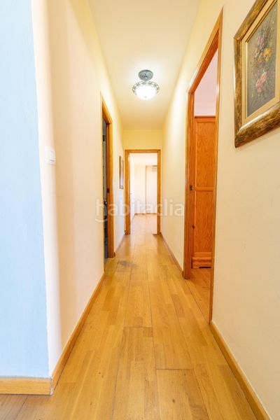 Foto 5cc24324-bf1b-416f-a304-bbc64af33dcd. Pis a Cieza