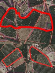 Fondo rustico  Calle polígono veredilla. Conjunto de fincas agrícolas en venta en la veredilla  50 tahúll