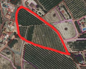 Fondo rustico  Calle polígono veredilla. Finca de 11 tahúllas en la veredilla con riego, luz y plantación