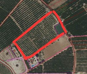 Fondo rustico  Calle polígono veredilla. Finca de 13 tahúllas en la veredilla con riego, luz y plantación