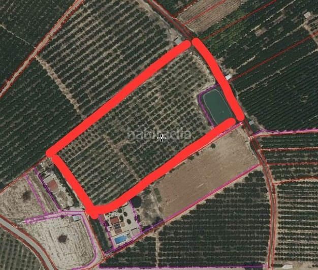 Foto 2c93b5d4-a53f-4f8c-9890-546e6dbfbc09. Finca rústica a calle polígono veredilla a Cieza