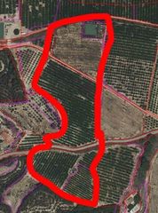 Fondo rustico  Calle polígono veredilla. Finca de 26 tahúllas en la veredilla con riego, luz y plantación