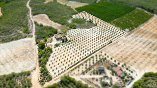 Casa a Cieza. Parcela con construcción en paraje mingrano