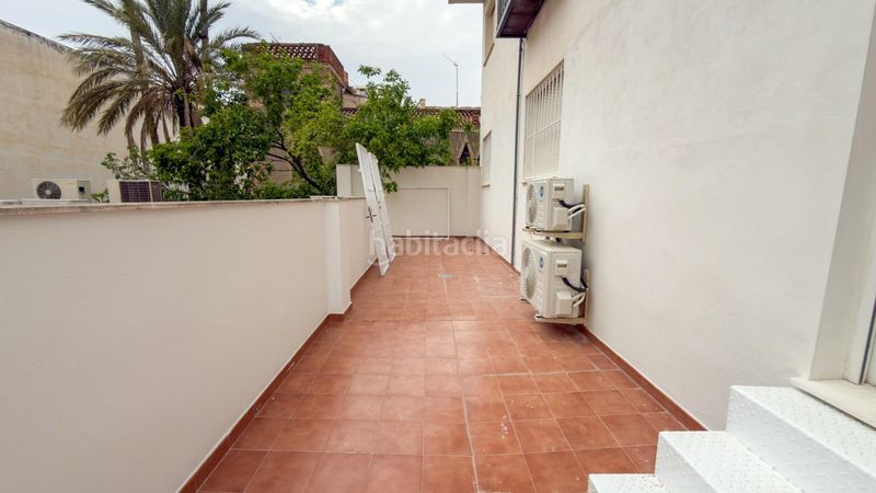 Foto 606bce8c-68d6-48b3-80ac-a5b61a0a6dcc. Pis a Cieza