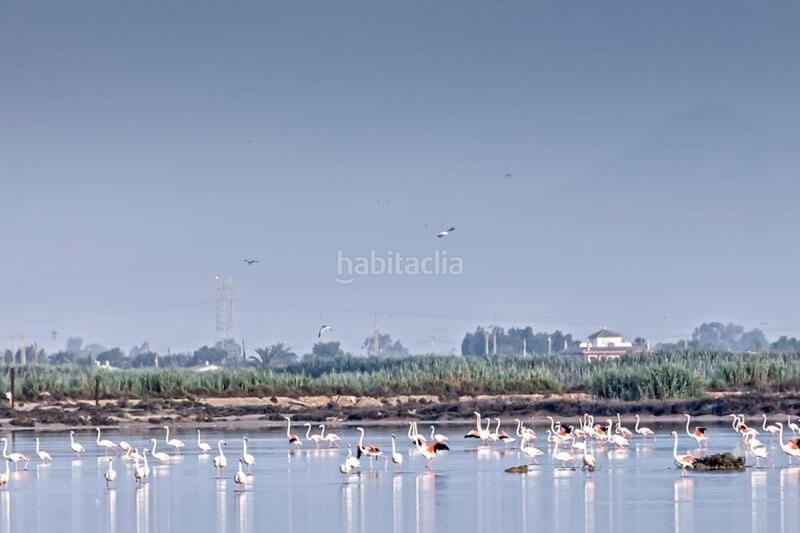 Foto 1dc27848-40de-4715-9296-4541342f1562. Chalet with heating parking pool in La Marina Elche / Elx