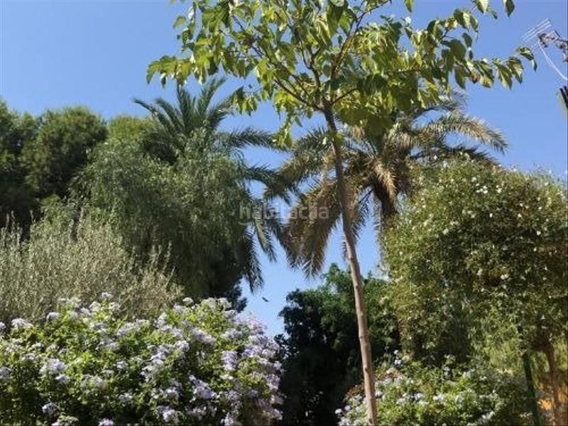 Foto 190be5dc-0a20-4e28-9c6d-fed900ad9999. Wohngrundstück in Torre-Pacheco Torre - Pacheco