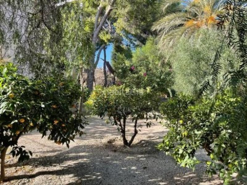 Foto df321612-b8d5-449e-a825-50bc1b44605e. Wohngrundstück in Torre-Pacheco Torre - Pacheco