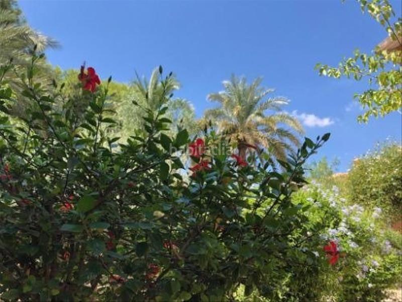 Foto eab1bbc3-07c9-45e5-99c1-41e129c39ad6. Wohngrundstück in Torre-Pacheco Torre - Pacheco