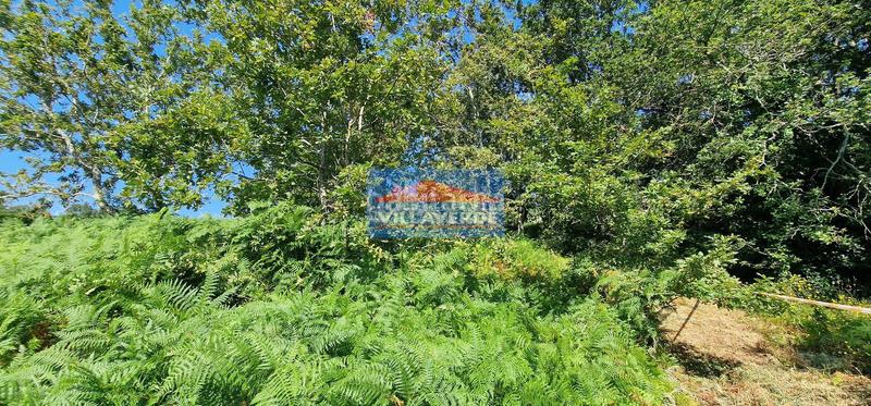 Foto 006a0efb-5f65-4576-a125-cda0c77164bf. Residential plot in Darbo Cangas