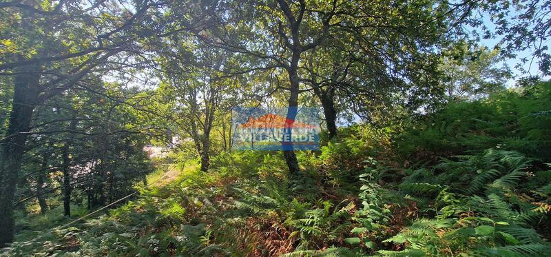 Foto 15be7339-06b7-4624-ac22-8242f444341e. Residential plot in Darbo Cangas