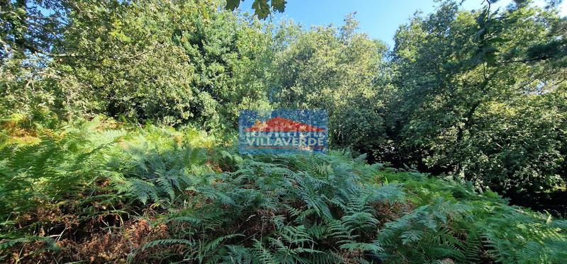 Foto 6e5865dc-e1e9-48cd-adeb-c2f7381de436. Residential plot in Darbo Cangas