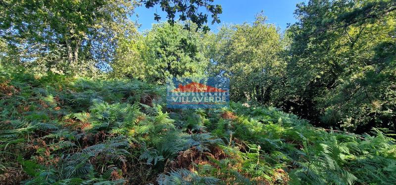 Foto 95158068-47fb-4830-ac06-f926c5e99490. Residential plot in Darbo Cangas