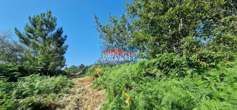 Foto a6dfa8c6-cdc7-4ddb-be22-4163672e4917. Residential plot in Darbo Cangas