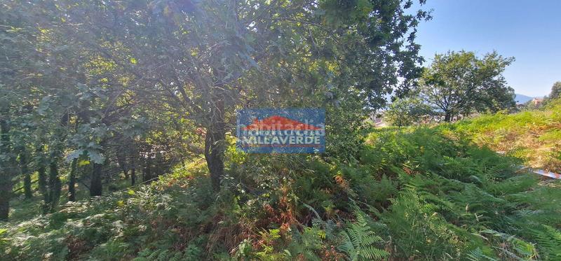 Foto d32d4534-c231-4ecc-a762-573a9cdc9937. Residential plot in Darbo Cangas