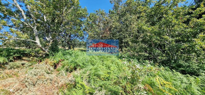 Foto d9b1e27d-a726-496b-b745-db96be6b237d. Residential plot in Darbo Cangas