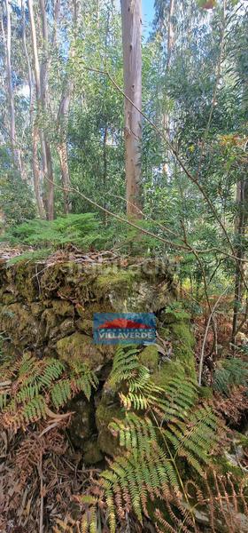 Foto e6dd6896-85fe-4b99-ad1d-8fdb3fbe9d71. Semi detached house in Bueu