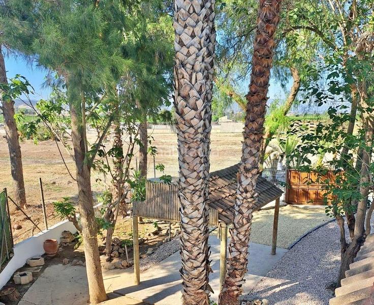 Foto 79140e47-b989-4cfc-8e25-9a103d5f0df0. Chalet in vereda liorna. desam. 7 in Desamparados - Hurchillo - Torremendo Orihuela