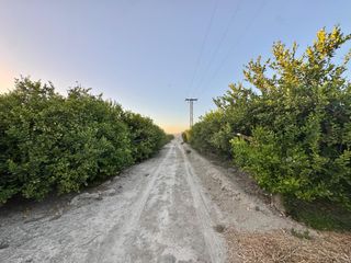 Rural plot in Barrio hurchillo-arneva 1. Terreno rústico en venta a tan solo 5 min de orihuela con planta