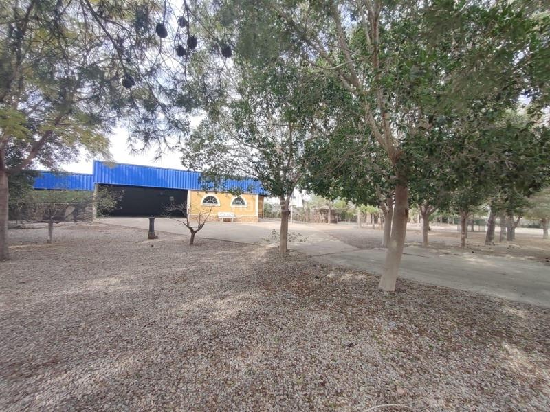 Foto 5a8e8924-2476-43d1-8902-0e2575c0ece5. Chalet mit heizung parking pool in Montepinar - La Aparecida - Raiguero Orihuela