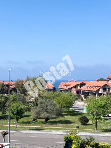 Foto 4da3d8e3-7d6d-43f2-8a46-c7c47771340a. Pis a Ris Noja