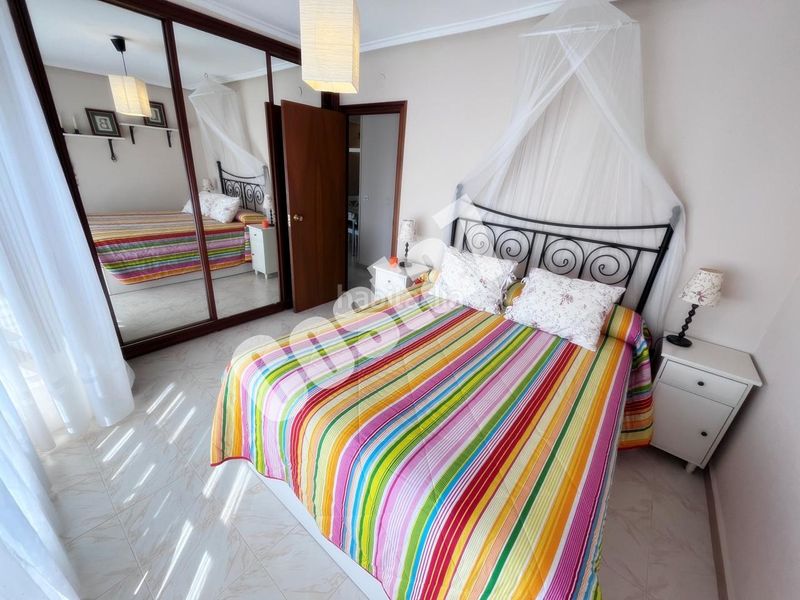 Foto 648d3731-4ff5-4b17-9c82-319cf30cc403. Pis a Ris Noja