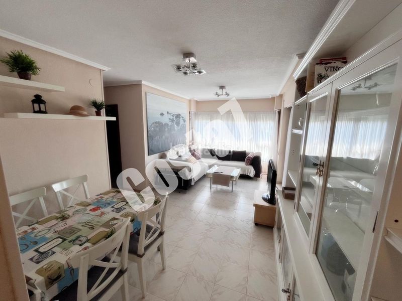 Foto 6feccc61-9e26-4d06-a0f9-591f4d27cba7. Pis a Ris Noja