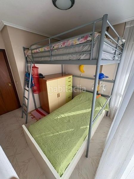 Foto a5e8dc0a-c34d-48a4-a320-36a7378c73d8. Pis a Ris Noja